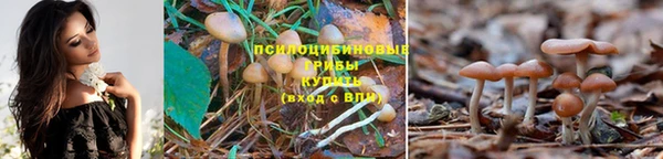 эйфоретик Алексин