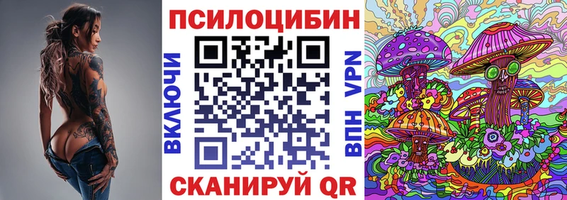 наркота  Заполярный  Галлюциногенные грибы Psilocybine cubensis 